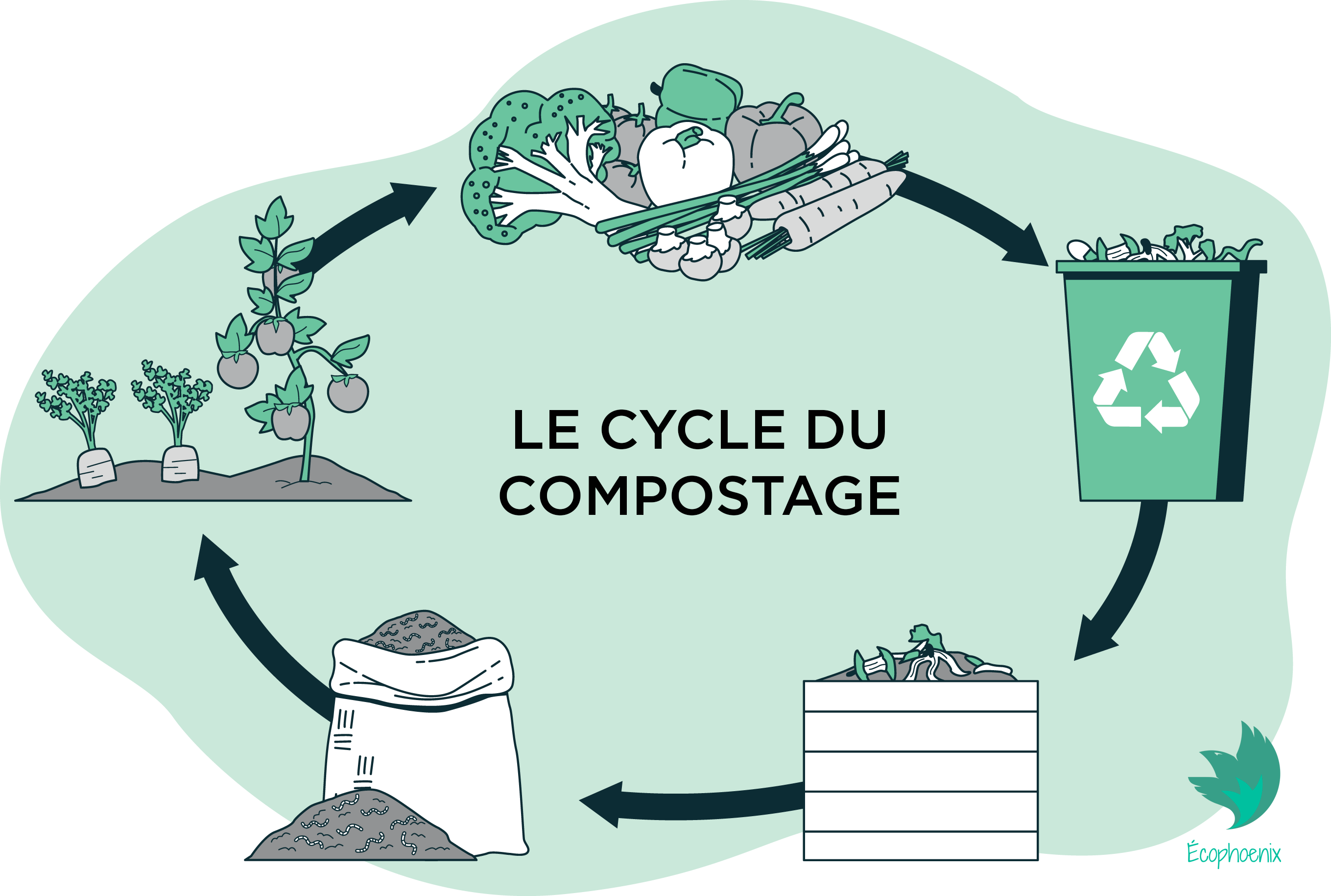 Le cycle du compostage. Collecte et compostage 100% Local à Montpellier